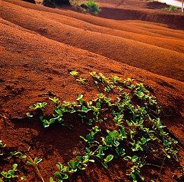 意大利查获大批中国产山寨复古游戏机：价值超3.7亿元